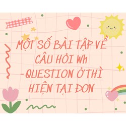 Một số bài tập về câu hỏi Wh-question ở thì hiện tại đơn