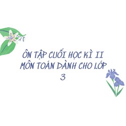 Ôn tập cuối học kì II môn Toán dành cho lớp 3