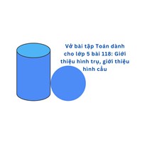 Vở bài tập Toán dành cho lớp 5 bài 118: Giới thiệu hình trụ, giới thiệu hình cầu