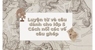 Luyện từ và câu dành cho lớp 5 Cách nối các vế câu ghép
