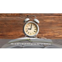 Mẫu số 30/TT-Quyết định gia hạn thời hạn thanh tra