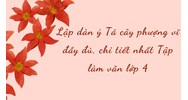Lập dàn ý Tả cây phượng vĩ đầy đủ, chi tiết nhất Tập làm văn lớp 4