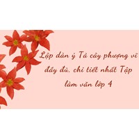 Lập dàn ý Tả cây phượng vĩ đầy đủ, chi tiết nhất Tập làm văn lớp 4
