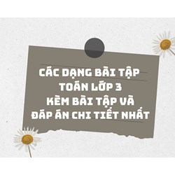 Các dạng bài tập Toán lớp 3 kèm bài tập và đáp án chi tiết nhất