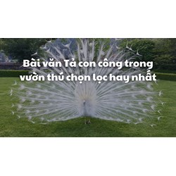 Bài văn Tả con công trong vườn thú chọn lọc hay nhất
