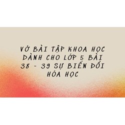 Vở bài tập Khoa học dành cho lớp 5 bài 38 - 39 Sự biến đổi hóa học