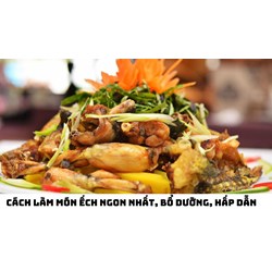 Cách làm món ếch ngon nhất, bổ dưỡng, hấp dẫn