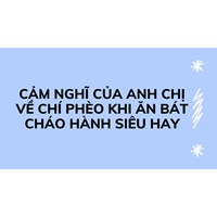Cảm nghĩ của anh chị về Chí Phèo khi ăn bát cháo hành siêu hay