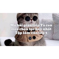 Mở bài gián tiếp Tả con mèo chọn lọc hay nhất Tập làm văn lớp 4