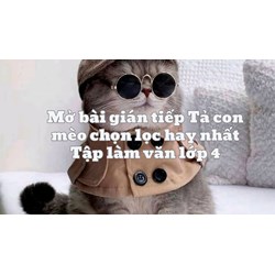 Mở bài gián tiếp Tả con mèo chọn lọc hay nhất Tập làm văn lớp 4