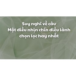 Suy nghĩ về câu Một điều nhịn chín điều lành chọn lọc hay nhất