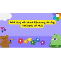 Trình bày ý kiến về một hiện tượng đời sống (6 mẫu) chi tiết nhất