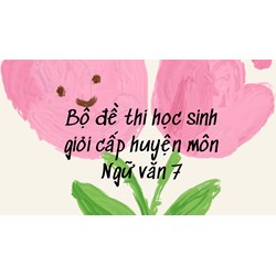 Bộ đề thi học sinh giỏi cấp huyện môn Ngữ văn 7