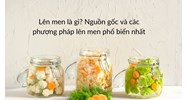 Lên men là gì? Nguồn gốc và các phương pháp lên men phổ biến nhất