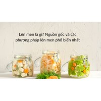 Lên men là gì? Nguồn gốc và các phương pháp lên men phổ biến nhất