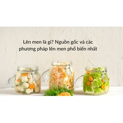 Lên men là gì? Nguồn gốc và các phương pháp lên men phổ biến nhất
