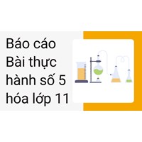 Báo cáo Bài thực hành số 5 hóa lớp 11