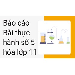 Báo cáo Bài thực hành số 5 hóa lớp 11