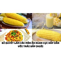 Bí quyết làm các món ăn ngon cực hấp dẫn với trái bắp (ngô)