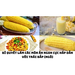 Bí quyết làm các món ăn ngon cực hấp dẫn với trái bắp (ngô)
