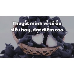 Thuyết minh về củ ấu siêu hay, đạt điểm cao