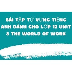 Bài tập Từ vựng Tiếng Anh dành cho lớp 12 Unit 8 The World Of Work