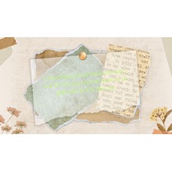 Vở bài tập Lịch sử dành cho lớp 5 bài 29: Ôn tập Lịch sử nước ta từ giữa thế kỉ XIX đến nay