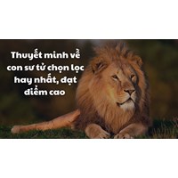 Thuyết minh về con sư tử chọn lọc hay nhất, đạt điểm cao