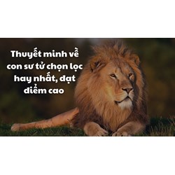 Thuyết minh về con sư tử chọn lọc hay nhất, đạt điểm cao