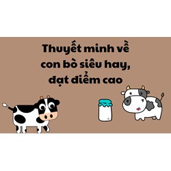 Thuyết minh về con bò siêu hay, đạt điểm cao
