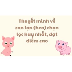 Thuyết minh về con lợn (heo) chọn lọc hay nhất, đạt điểm cao