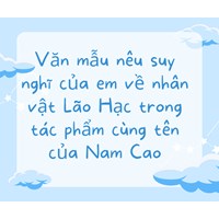 Văn mẫu nêu suy nghĩ của em về nhân vật Lão Hạc trong tác phẩm cùng tên của Nam Cao