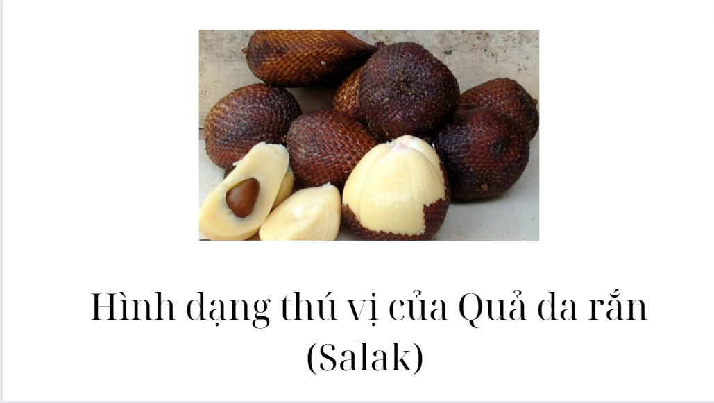 Hình dạng thú vị của Quả da rắn (Salak)