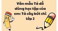 Văn mẫu Tả đồ dùng học tập của em: Tả cây bút chì lớp 2