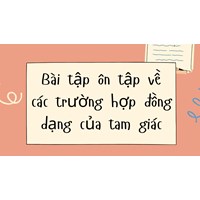 Bài tập ôn tập về các trường hợp đồng dạng của tam giác