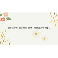 Bài tập thì quá khứ đơn - Tiếng Anh lớp 7