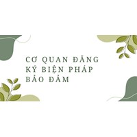 Cơ quan đăng ký biện pháp bảo đảm