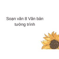 Soạn văn lớp 8: Văn bản tường trình