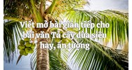 Viết mở bài gián tiếp cho bài văn Tả cây dừa siêu hay, ấn tượng