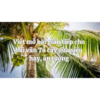 Viết mở bài gián tiếp cho bài văn Tả cây dừa siêu hay, ấn tượng