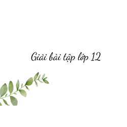 Tổng quan môn Toán lớp 12