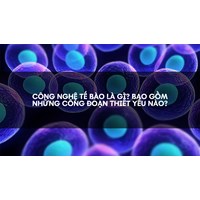Công nghệ tế bào là gì? Bao gồm những công đoạn thiết yếu nào?