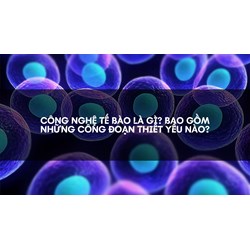 Công nghệ tế bào là gì? Bao gồm những công đoạn thiết yếu nào?