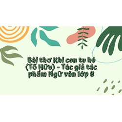 Bài thơ Khi con tu hú (Tố Hữu) - Tác giả tác phẩm Ngữ văn lớp 8