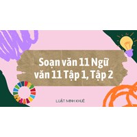 Hướng dẫn soạn văn lớp 11 chương trình Ngữ văn 11 Tập 1, Tập 2