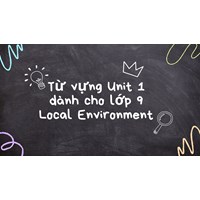 Từ vựng Unit 1 dành cho lớp 9 Local Environment