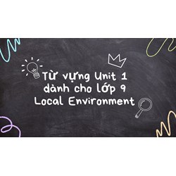 Từ vựng Unit 1 dành cho lớp 9 Local Environment