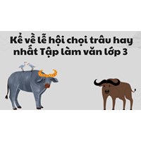 Kể về lễ hội chọi trâu hay nhất Tập làm văn lớp 3