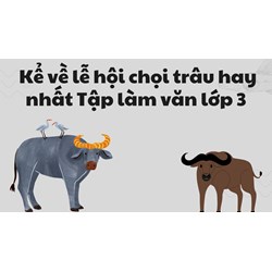 Kể về lễ hội chọi trâu hay nhất Tập làm văn lớp 3