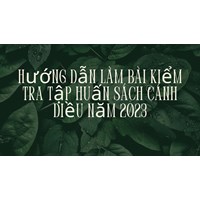 Hướng dẫn làm bài kiểm tra tập huấn sách Cánh Diều mới nhất